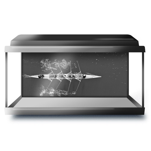 Fish tank background - tank,