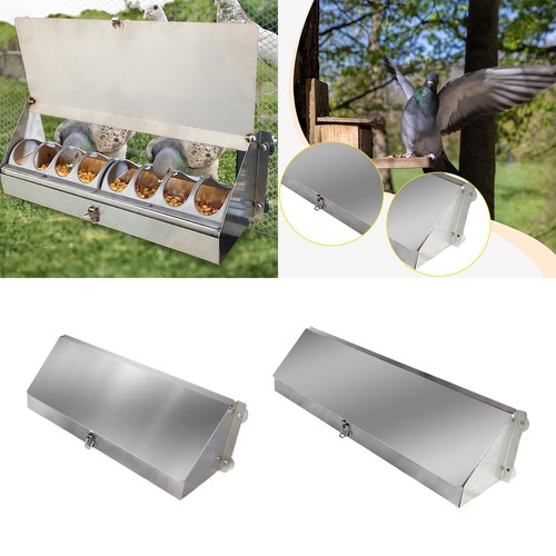 Stainless steel pigeon - stainless, feeder