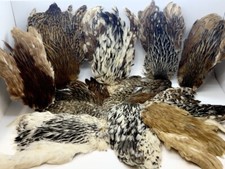 hen neck/capes  natural colours for craft fly tying fly fishing