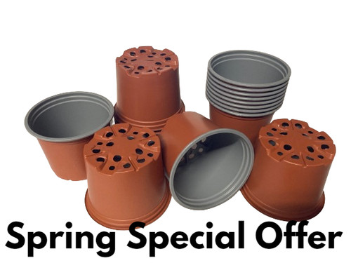10cm plastic plant pots - 10cm,
