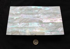 Australian Abalone thin mother