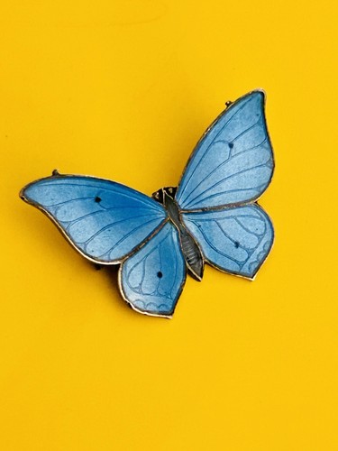 Marius hammer butterfly - butterfly, brooch