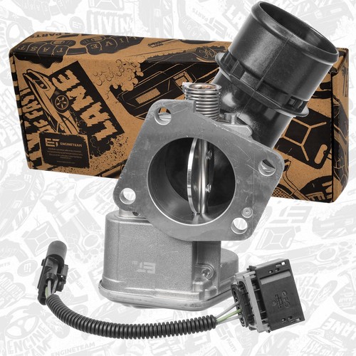 Throttle body cable - throttle, +