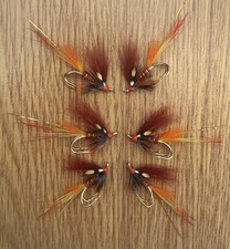 3 x Fiery Brown Shrimp