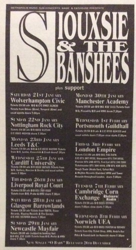 Siouxsie and the - and, banshees