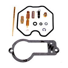 Carburetor Repair Kit for