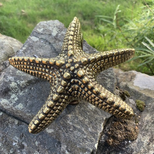 Antique solid brass starfish - solid,