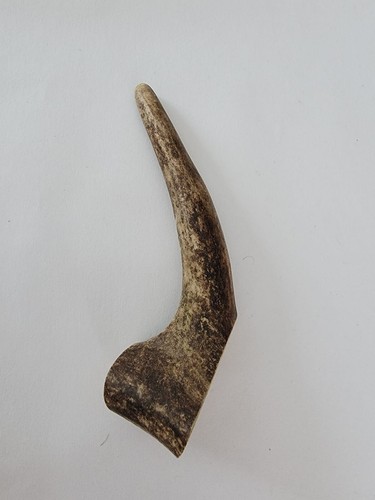 Dog chew red deer - dog, chew/red