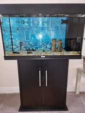 Juwel Rio 125 Aquarium and