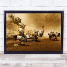 Tanzania Wildebeest Frenzy
