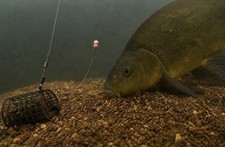 METHOD FEEDER FISHING BOLT /