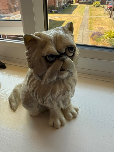Pets with personality cat - pets,