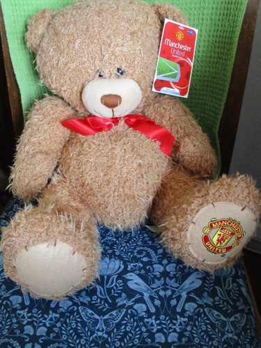 Manchester united teddybear - manchester,