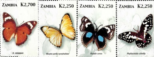 Zambia 2005 butterflies - 2005,