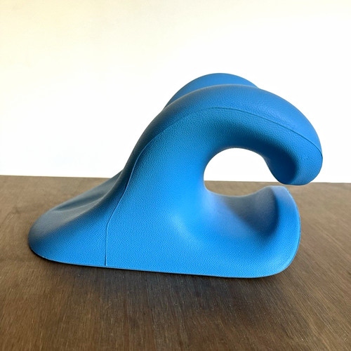 Blue orthopaedic positioning - orthopaedic,