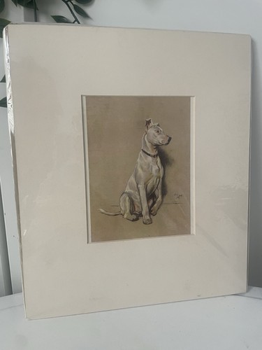 Cecil aldin bull terrier dog - aldin,