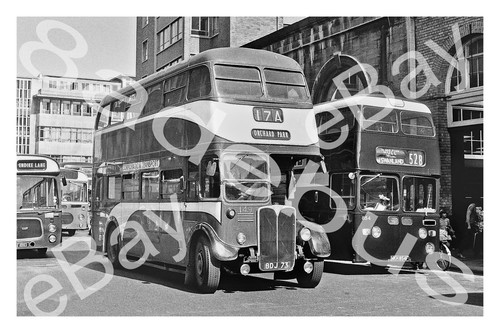 Bus photograph - bus,