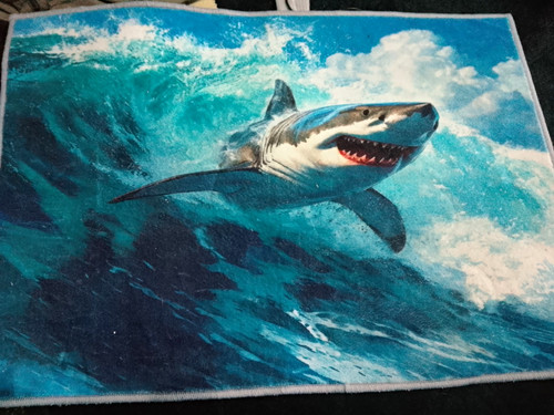 Springs creative shark - creative,