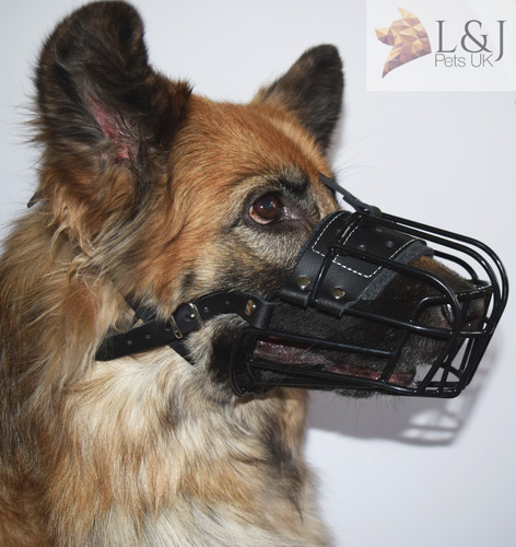 Winter metal basket muzzle - basket, |