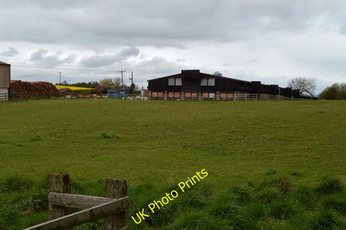 Photo 6x4 agricultural - photo,