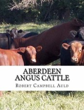 Aberdeen angus cattle - angus, cattle: