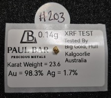 #203 - Natural Gold Nugget