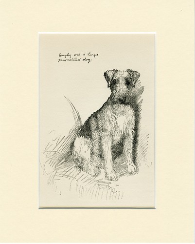 Airedale terrier vintage 1939 - airedale,
