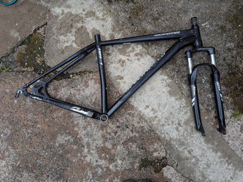 Specialized rockhopper 19 - specialized, l/19