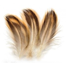 Hen Mallard Flank Feathers for
