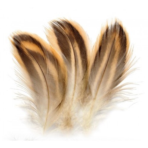 Hen mallard flank feathers for - mallard,