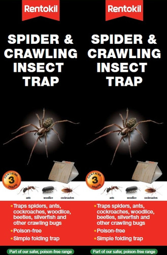 Rentokil spider crawling - 6x, &
