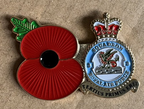 Rare squadron royal - rare,