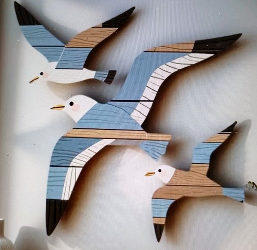Flying seagulls - 3,