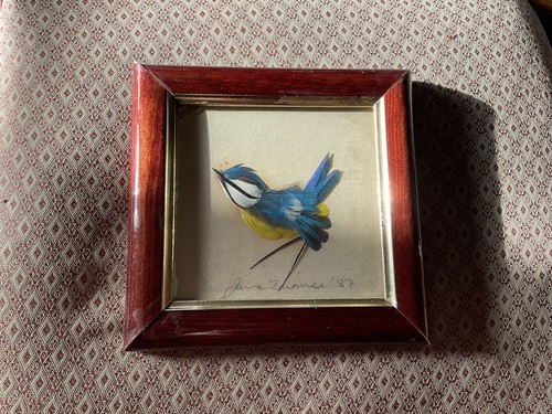 Little picture bird made - of,