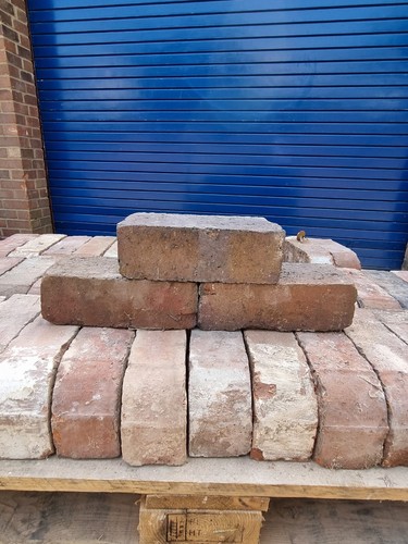 Reclaimed blue brindle - reclaimed, /