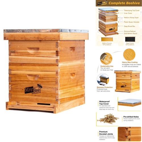 Frame bee hive - 10, 1