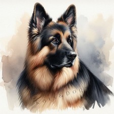 Alsatian German Shepherd