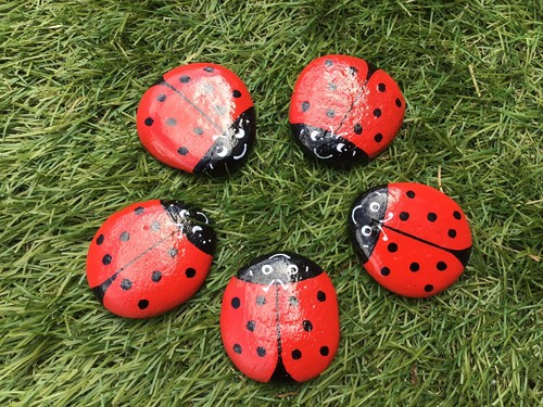 Hand painted ladybird ladybug - painted,