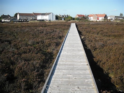 Photo 6x4 board walk - photo,