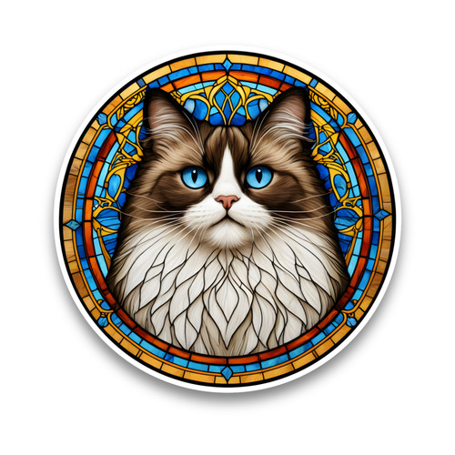 Cute ragdoll cat - cute, kitten