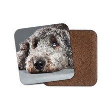 Cute Labradoodle Coaster - Dog