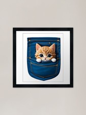 Adorable kitten In My Pocket