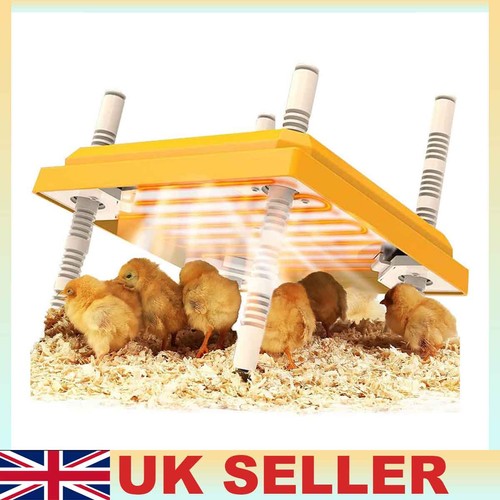 Adjustable breed chick brooder - adjustable,