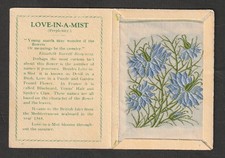 Kensitas WIX tobacco Medium