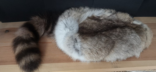 Real rabbit fur raccoon - fur, tail