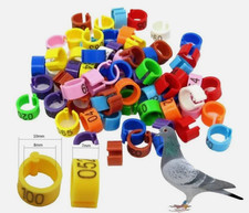 100pcs 8mm bird - 100pcs, leg