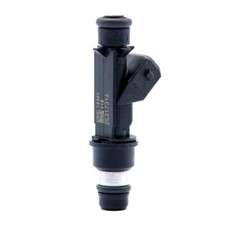 25317316 Fuel Injector For