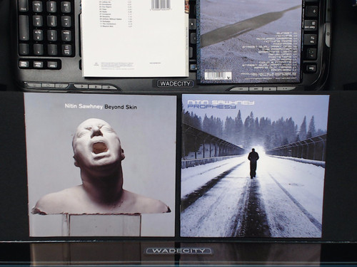 Nitin sawhney beyond skin - nitin,