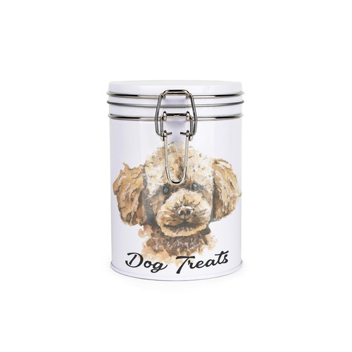 Miniature poodle dog - dog, treats