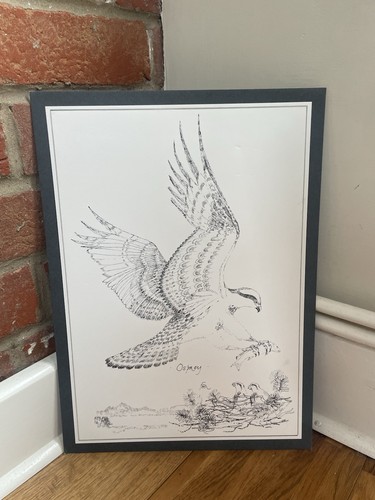 Mairi hedderwick osprey malin - hedderwick,